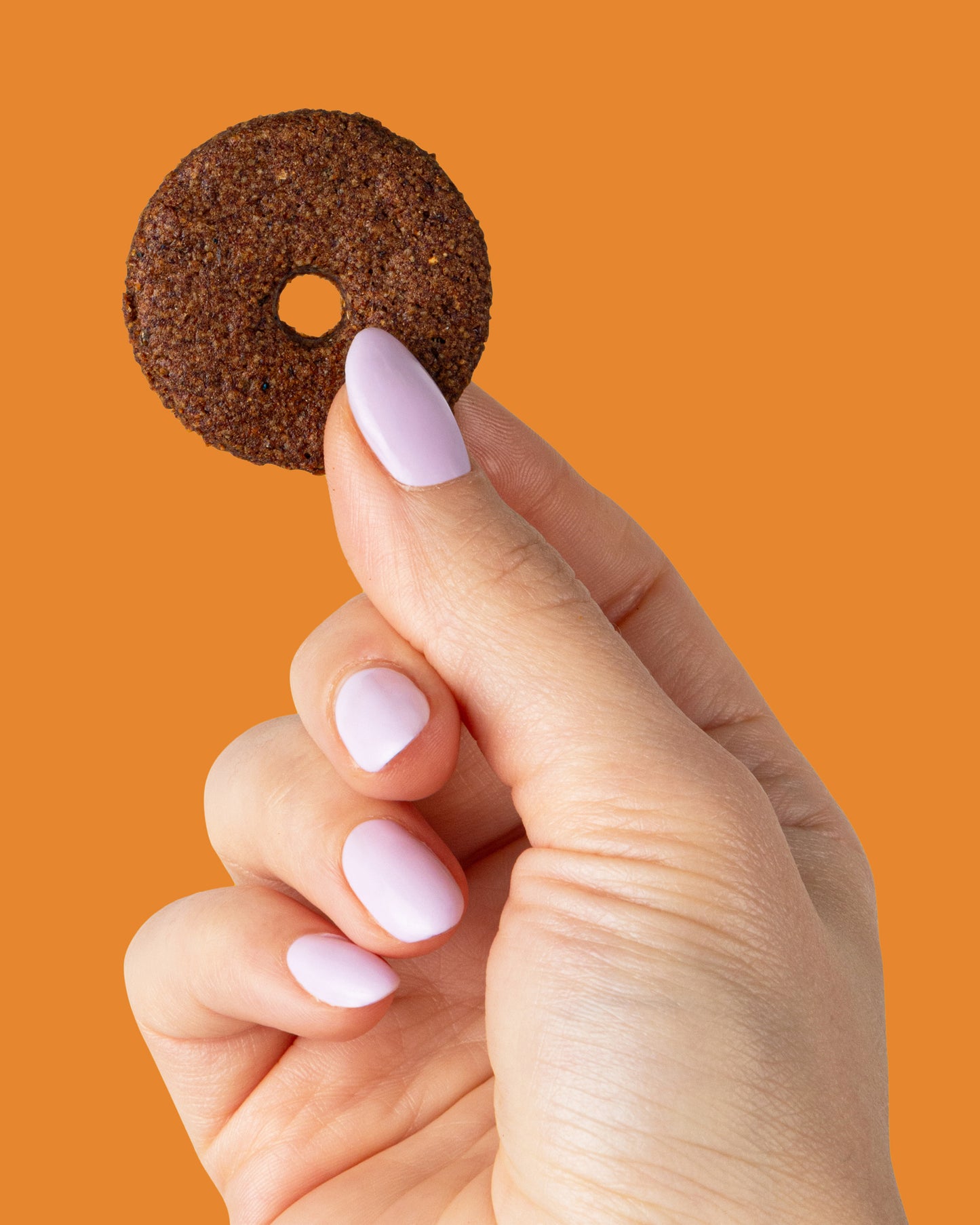 Cinnamon Crunch